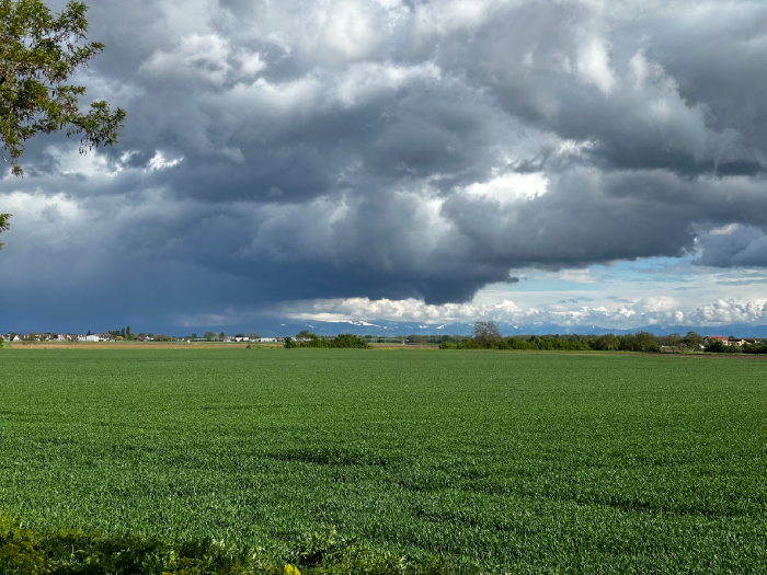 Typisch April Rumpelholz