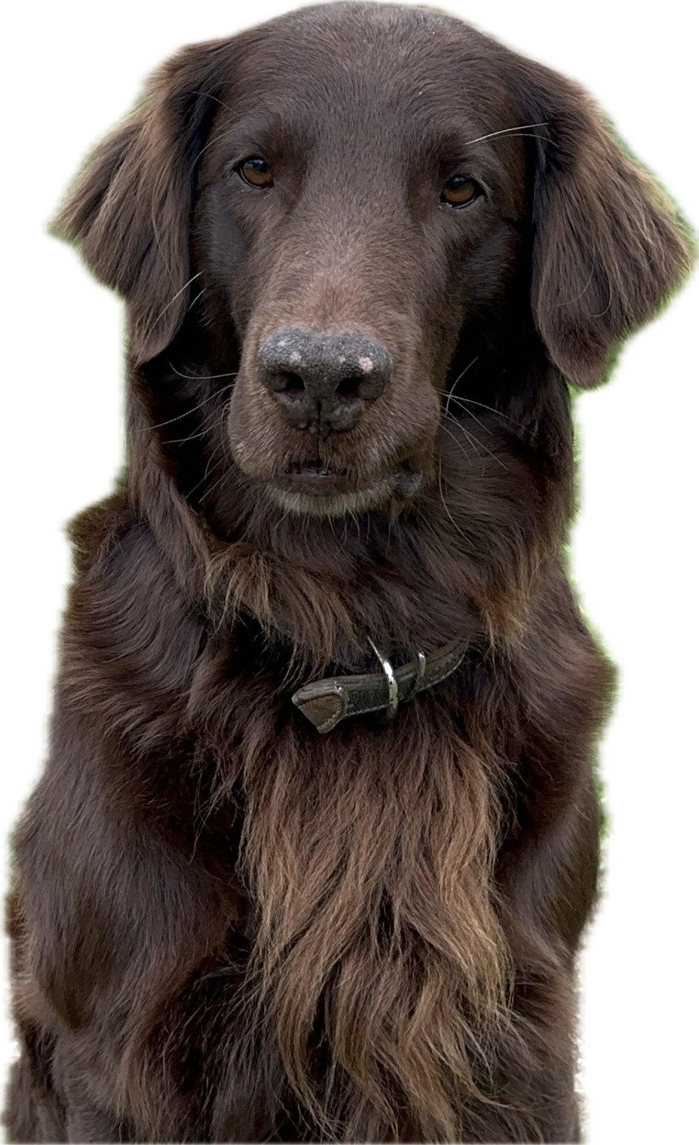 Einer der Wichtigsten.